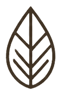 Foresttreat